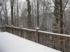 IMG_8740.JPG