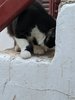 IMG_20190917_182114.jpg