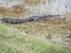 IMG_2977.JPG
