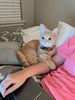 tumblr_prai8mOx2s1u4nbmvo1_1280.jpg