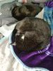 20191010_141328.jpg