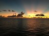 14F6852C-8702-43CB-9D2F-85D31295A8BF.jpeg