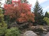 IMG_0470.JPG