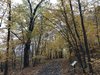IMG_0481.JPG