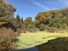 IMG_0504.JPG