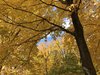 96162E39-8FFC-4BFB-879A-1D8397D95B17.jpeg