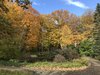 D2D038FD-52C5-49D0-B9CD-6420AD5CBAC8.jpeg