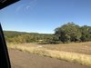 86BA64DC-9448-413F-BE21-FC8319C74BFD.jpeg