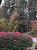 79B30444-4EBD-4142-86D2-3FA0BF320DD2.jpeg