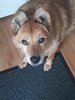 20190502_153625.jpg