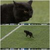 FB_IMG_1572967674717.jpg