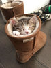 tumblr_odttblFzRN1shb0boo9_1280.jpg