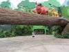 Lion King 3.jpg