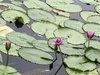 5CF06693-87C0-4670-AB77-FE56773D5009.jpeg
