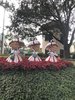 03831474-4F0D-45BA-986C-732FEB112934.jpeg