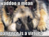 1574428984689.png