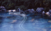 Scan40008.png