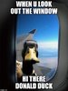9EBD8CAD-5A1A-47C0-B853-7905C2CEA190.jpeg