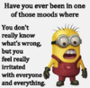 1575311333521.png