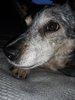 20191203_092627.jpg