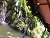 5B39B951-2520-4BE2-9F81-F8D02846CA16.jpeg