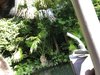 F7F3D873-6AFA-490D-B9FF-D55EFD098552.jpeg