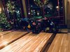4B859197-D6A0-4820-A244-FF94746B366D.jpeg