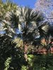 6E5DF970-10CF-4068-838D-585D30E0A007.jpeg