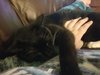 20191208_171046.jpg