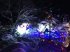 CD770C34-8450-40A2-B2DF-64B24D9D27D2.jpeg