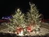 06082209-7C72-4051-8478-BEAF31E02BB4.jpeg