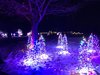 159851AF-C52A-4C77-85F8-B171159C9117.jpeg