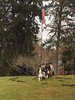 D166985C-F375-4C97-9608-F61BD2C36359.jpeg