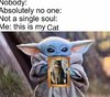 FB_IMG_1576645000843.jpg
