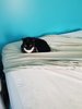 20191218_101829.jpg
