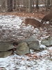 20191225_163115.jpg