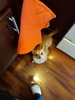 20191225_152814.jpg