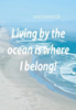 1578317942079.png
