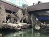 E33F1AAF-2FCC-44AC-BEA4-F67534C4D2C5.jpeg