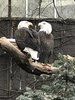508B4A9A-334A-4045-84C2-0B7002BD96C1.jpeg