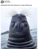 82181679_3020836711273306_1555286728229519360_o.png
