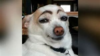 1579000407344.png
