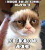 grumpy-cat-disappointment-meme.jpg