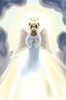 angel_ferret_by_nienor_d2cvcmn-fullview.jpg