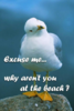1582480429899.png
