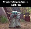 FB_IMG_1582556562880.jpg