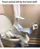 08D2B6D1-9202-45D0-842E-AC00DA94B40A.jpeg