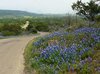 510E88DC-7D5D-4A4E-A267-7ED9C5BB8903.jpeg