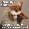 57b5128bb0f9b746255706ee6fe003b4.jpg