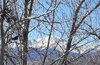 Pikes Peak.jpg